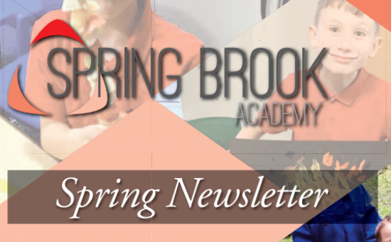 Spring Brook Academy Spring Newsletters 2024